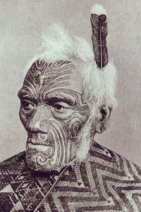 Maori-kriger med moko-ansikt